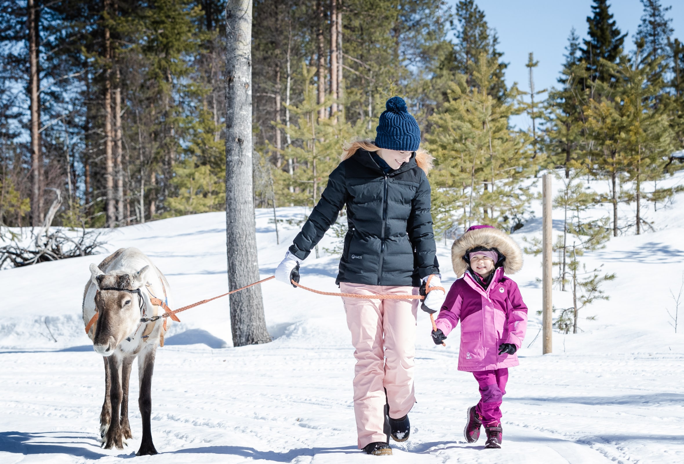 Kurtka narciarska damska Halti Lis DX